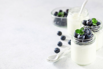 Homemade yogurt with blueberry and mint