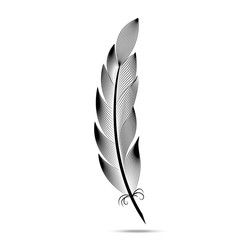 Black and white contour feather engraving
