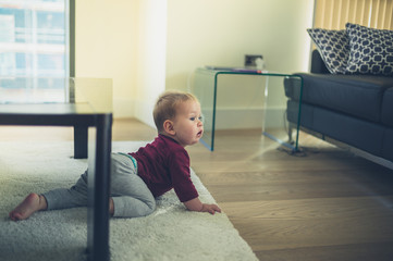 Baby crawling in living room