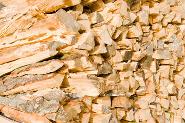 Timber logs on a lumberyard
