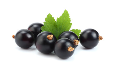 black currant with green leaf isolated on white background