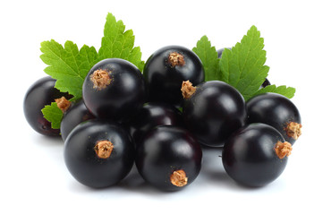 black currant with green leaf isolated on white background