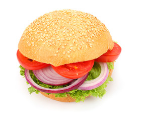 bbq hamburger with vegetables, spices isolated on white background