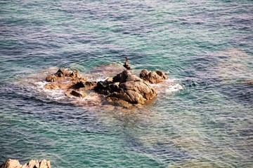 ile les sanguinaires