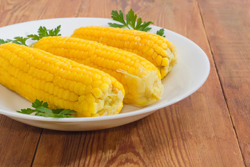 Boiled sweet corn on white dish on wooden surface closeup