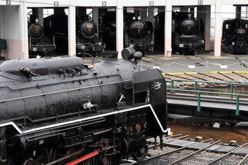 梅小路蒸気機関車庫の蒸気機関車