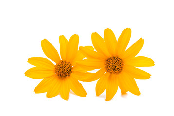 Naklejka premium Yellow flower isolated
