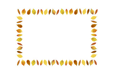 シンプルな紅葉のフレーム
