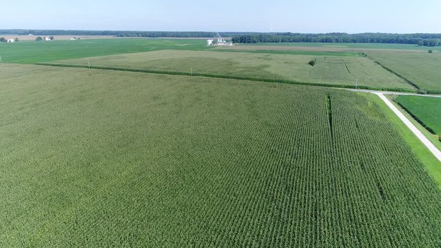 Aerial View Flying Over Corn and Soybean Fields and Farms Smyrna Delaware