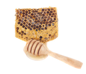 Honeycombs in closeup