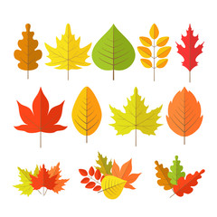 autumn leaves set in flat style on white background