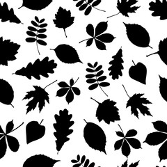 Seamless pattern of black leaf silhouettes on white background.