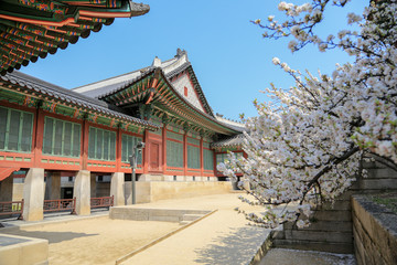 Naklejka premium korea