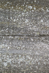 old wooden texture background. Old surface 