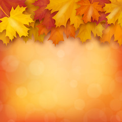 Naklejka na ściany i meble Autumn maple leaves on blurry background. Realistic vector illustration.