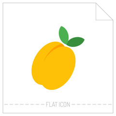 Flat icon of peach, apricot. Digital object of fruit isolated on white background. Vector