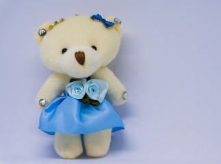 Nice and cute teddy bear on white background