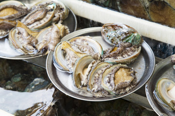 釜田市場で売られていたアワビ