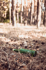 A green glass bottle lies in a pine forest. Environmental pollution. Garbage in nature.