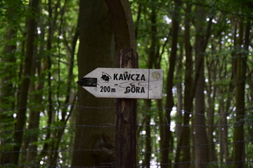 Międzyzdroje 2017 © Michal