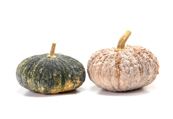 fresh asian pumpkin on white background