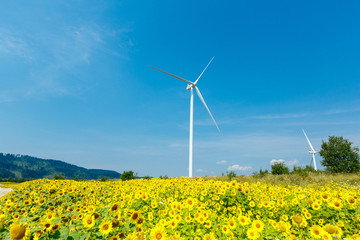 Wind turbines standing in sunflower field over a deep blue sky. Renewable energy ecological concept