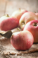 Fresh organic ripe apples