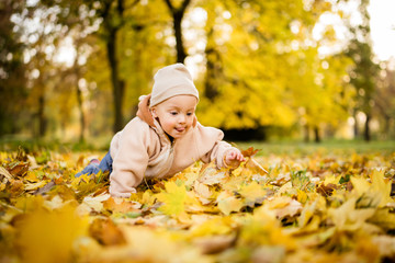 Toddler boy crawling over fall foliage