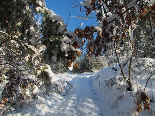 Chemin enneig&eacute;