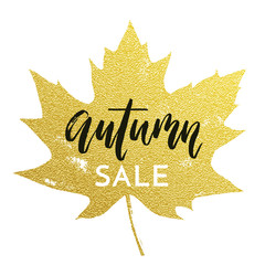 Autumn sale shopping discount vector poster fall maple leaf web banner