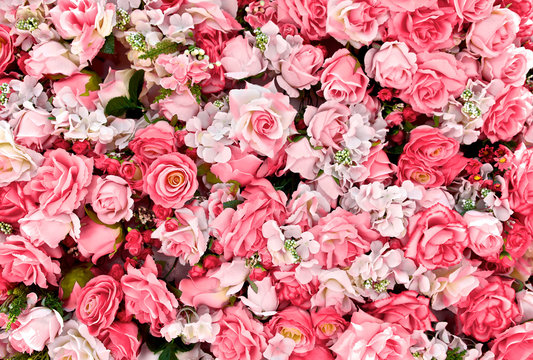 Pink red rose background. Roses flower bouquet. For lover or sweetheart of Valentine's Day. Top view. Close up.