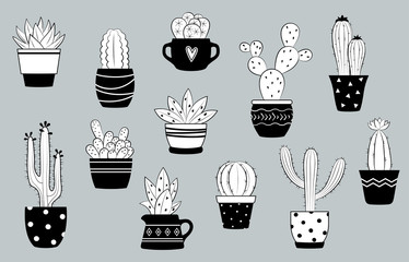 Vector black and white cactus and succulents set. Cute cactuses in flower pots.