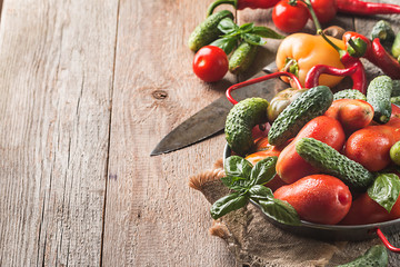 Fresh organic vegetables
