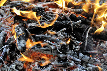 the fire burns with a bright flame on the picnic