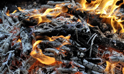 the fire burns with a bright flame on the picnic