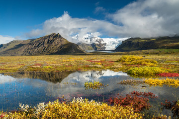 Farbenprächtige Herbst-Landschaft im Skaftafell Nationalpark, Südisland - obrazy, fototapety, plakaty