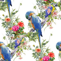 Watercolor painting with birds and flowers, seamless pattern on white background