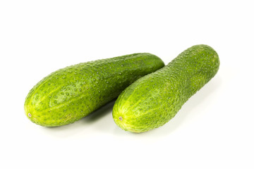 fresh organic pickling cucumbers isolated on white background