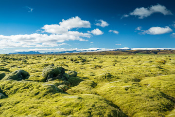 Moos-Landschaft im Süden Islands mit Ausblick auf den Mýrdalsjökull