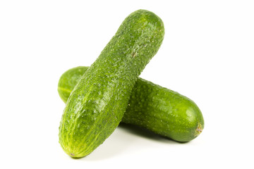 fresh organic pickling cucumbers isolated on white background