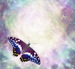 Naklejka premium Butterfly messages border - beautiful multicoloured butterfly with open wings in bottom left corner of ethereal wispy energy formation background ideal copy space for messages 