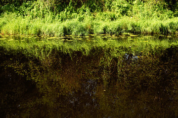 The bank of the river is reflected in the water