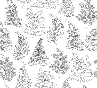 Floral vector ferns pattern. Hand drawn botanical texture. Decorative linear background