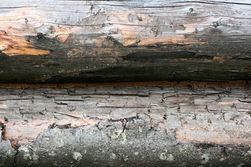 Rough background of rough logs