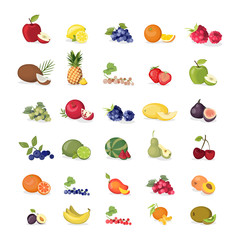Fruits illustrations set.
