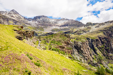 Fototapeta na wymiar Valmalenco (IT) - Valtellina - Alpe Fora - salita verso il Rifugio Longoni