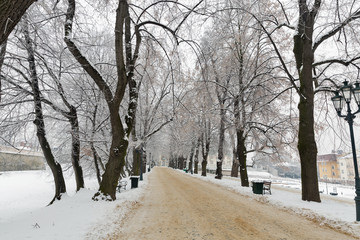Winter park alley. Rzeszow. Poland