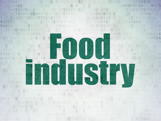 Industry concept: Food Industry on Digital Data Paper background