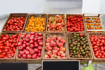 Tomato local market stand shop varieties of types, colors and kinds