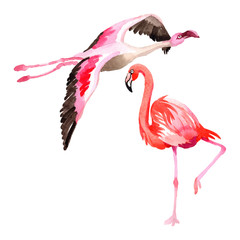 Sky bird flamingo in a wildlife by vectorr style isolated. Wild freedom, bird with a flying wings. Aquarelle bird for background, texture, pattern, frame, border or tattoo.